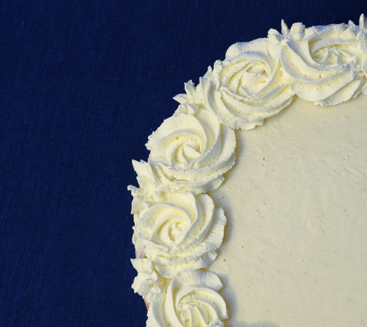 Vanille "Cheese"cake 24cm Vanille "Cheese"cake 24cm